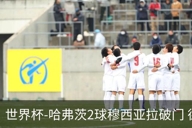 世界杯-哈弗茨2球穆西亚拉破门 德国全面开花7-1库拉索